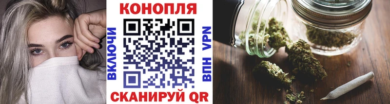 Бошки Шишки гибрид  Северская 